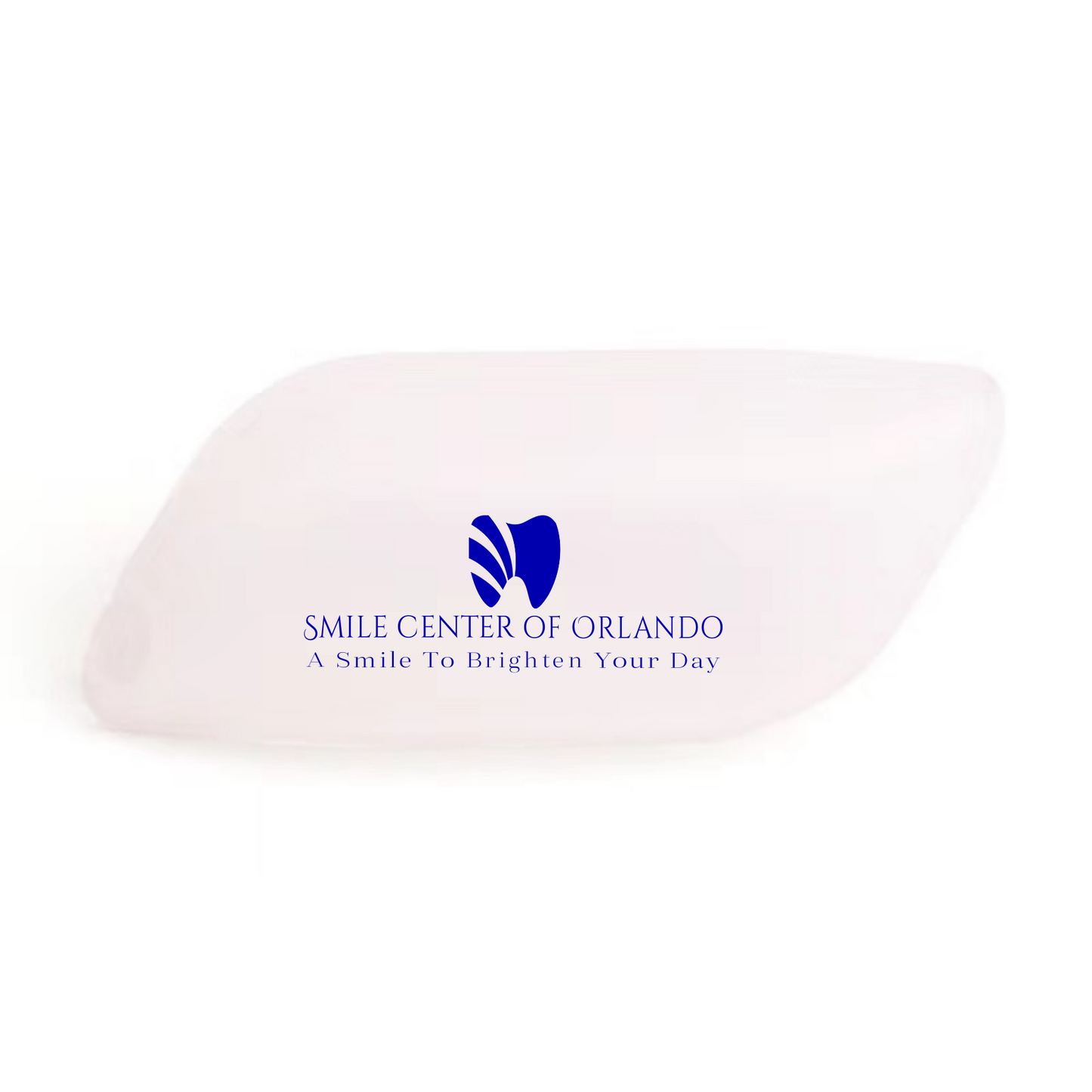 FL Silicone Travel Suction Toothbrush Cover